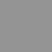Sonderfarbe 007-grau